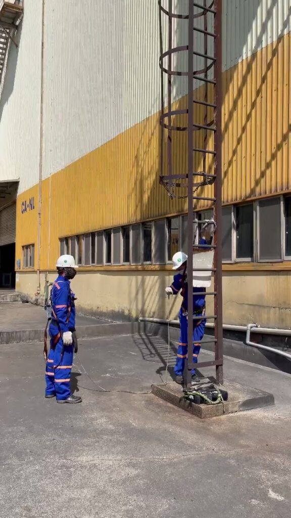Hình ảnh quan trắc thực tế của Nam Việt